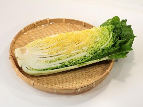 白菜をレンジで簡単調理！すぐできる料理と相性のよい食材を紹介