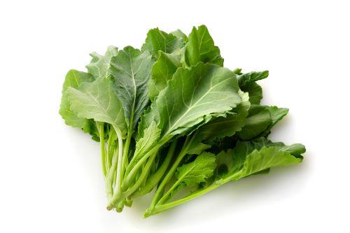 ケールの栄養と機能性！葉野菜の女王を美味しく食べる方法を紹介