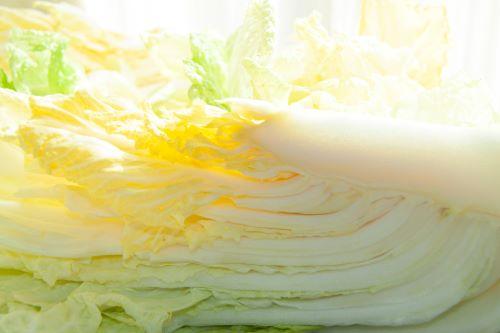 白菜の芯が美味しい！上手な切り方やおすすめの食べ方を紹介
