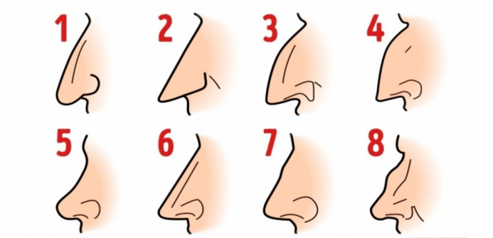 あなたの鼻はどのタイプ？鼻の形で性格診断が可能！